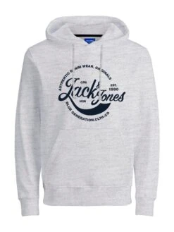 Jack & Jones Hoodie "Jormbappe" In Grau