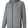 Puma Sweatjacke "RTG" In Grau -ChicWelt Verkaufs-Shop puma sweatjacke rtg in grau