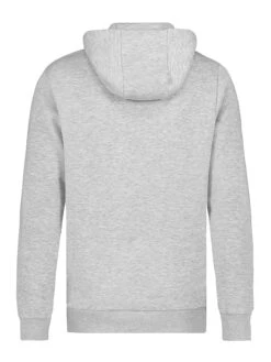 Titelseite -ChicWelt Verkaufs-Shop sublevel hoodie in hellgrau 1